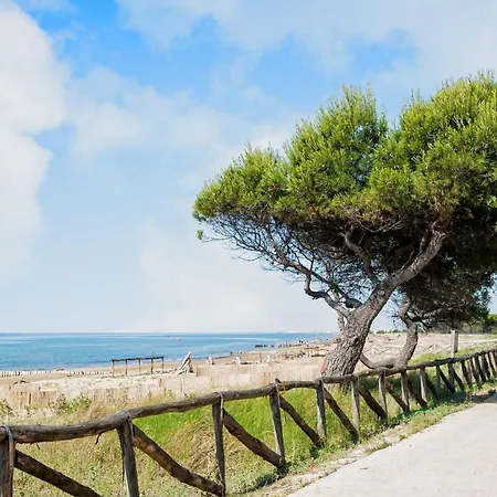 Seafront Flat With Stunning Views